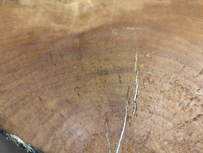 Surface of a light brown wild cherry root slice showing distinct growth rings, rough texture, and prominent cracks.