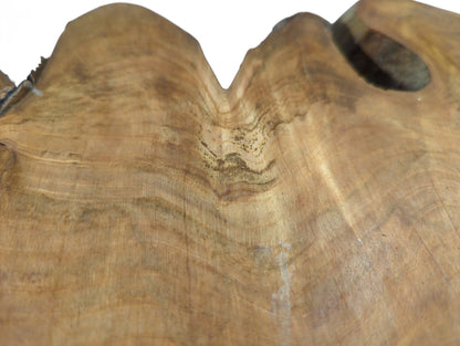 Close-up of a light brown wild cherry root slice with wavy edges, distinct grain, and a natural void.