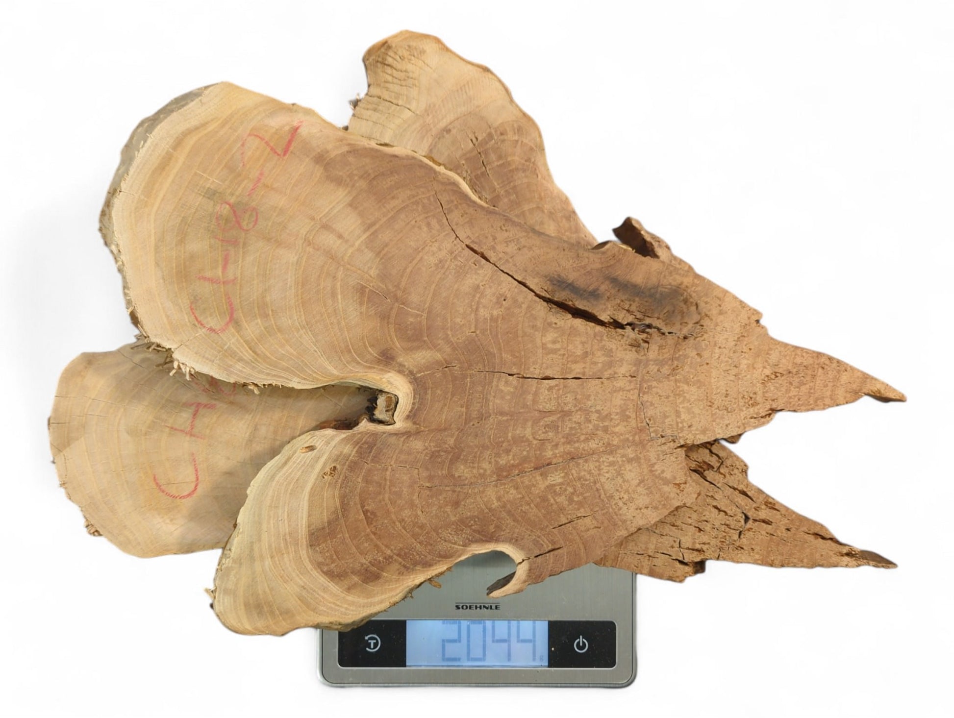 Light brown, irregularly shaped, bookmatched wild cherry wood slices with grain, weighing 2044 on a scale.