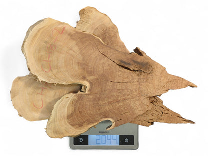 Light brown, irregularly shaped, bookmatched wild cherry wood slices with grain, weighing 2044 on a scale.