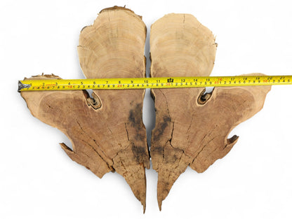 Brown bookmatched wild cherry wood slices with live edges, visible grain, and cracks, measured by a yellow tape.