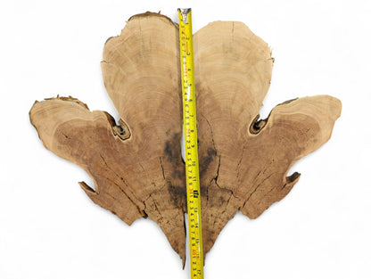 Irregularly shaped bookmatched wild cherry wood slices showing grain, cracks, and live edges with a yellow tape measure.