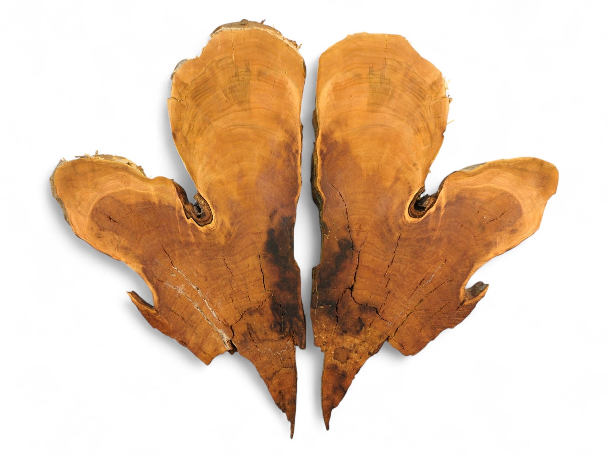 Pair of reddish-brown, irregularly shaped wild cherry wood slices, bookmatched with live edges, visible grain, and cracks.