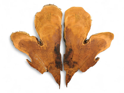Pair of reddish-brown, irregularly shaped wild cherry wood slices, bookmatched with live edges, visible grain, and cracks.