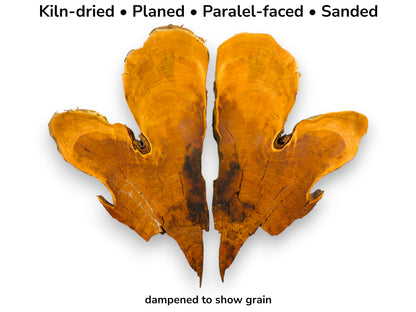 Photograph of two bookmatched wild cherry wood slices, amber colored, with natural edges and descriptive text.