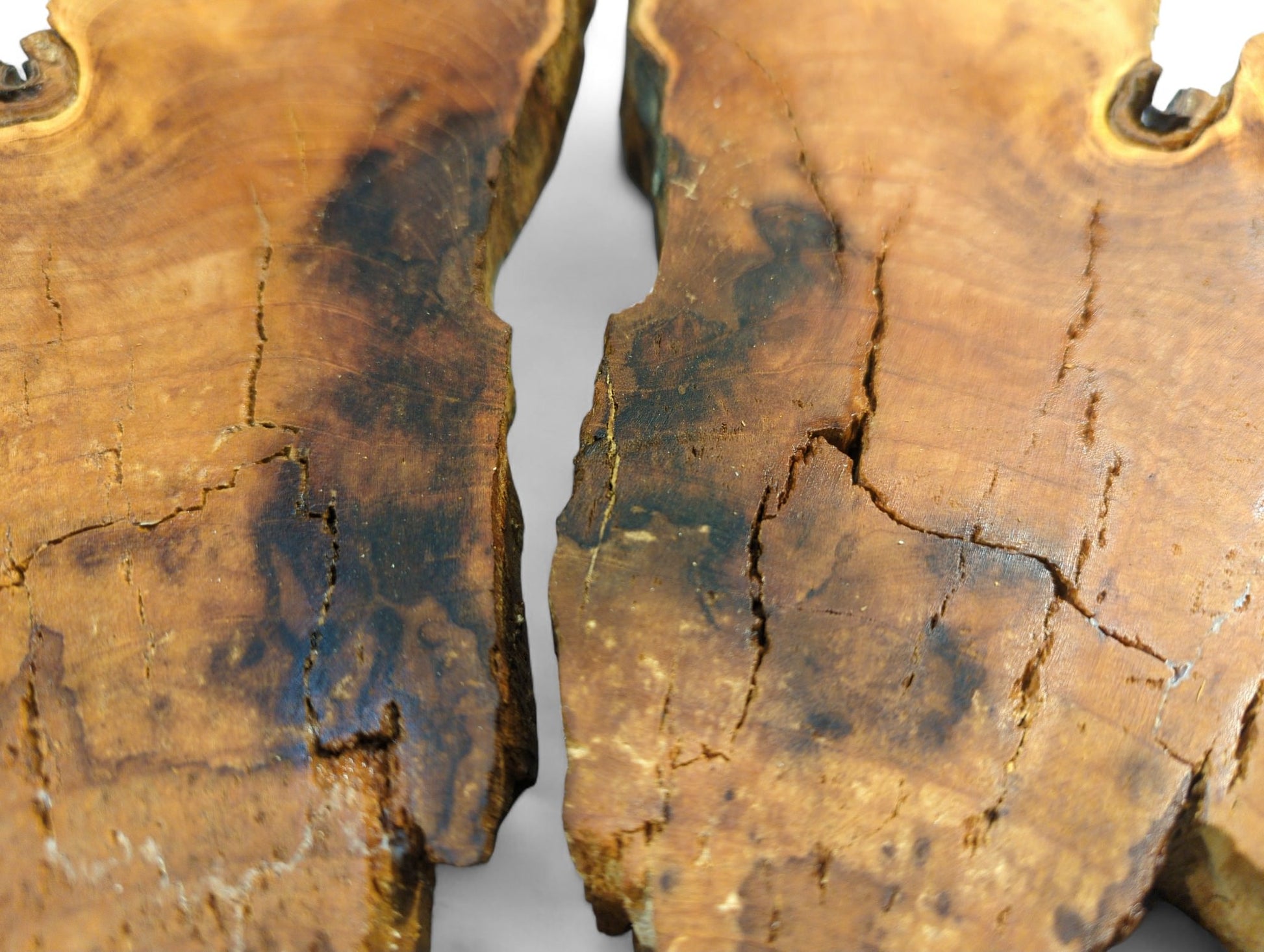 Bookmatched wild cherry wood slices, amber-brown with dark grain, displaying natural live edges and surface cracks.