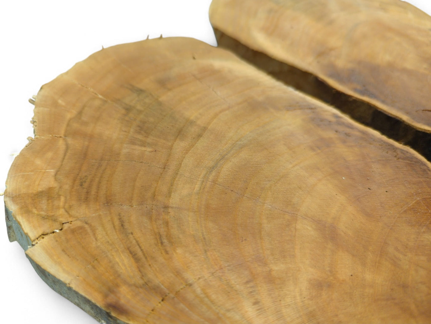 Natural bookmatched wild cherry wood slices showing warm brown color, prominent growth rings, rough bark edge, and cracks.