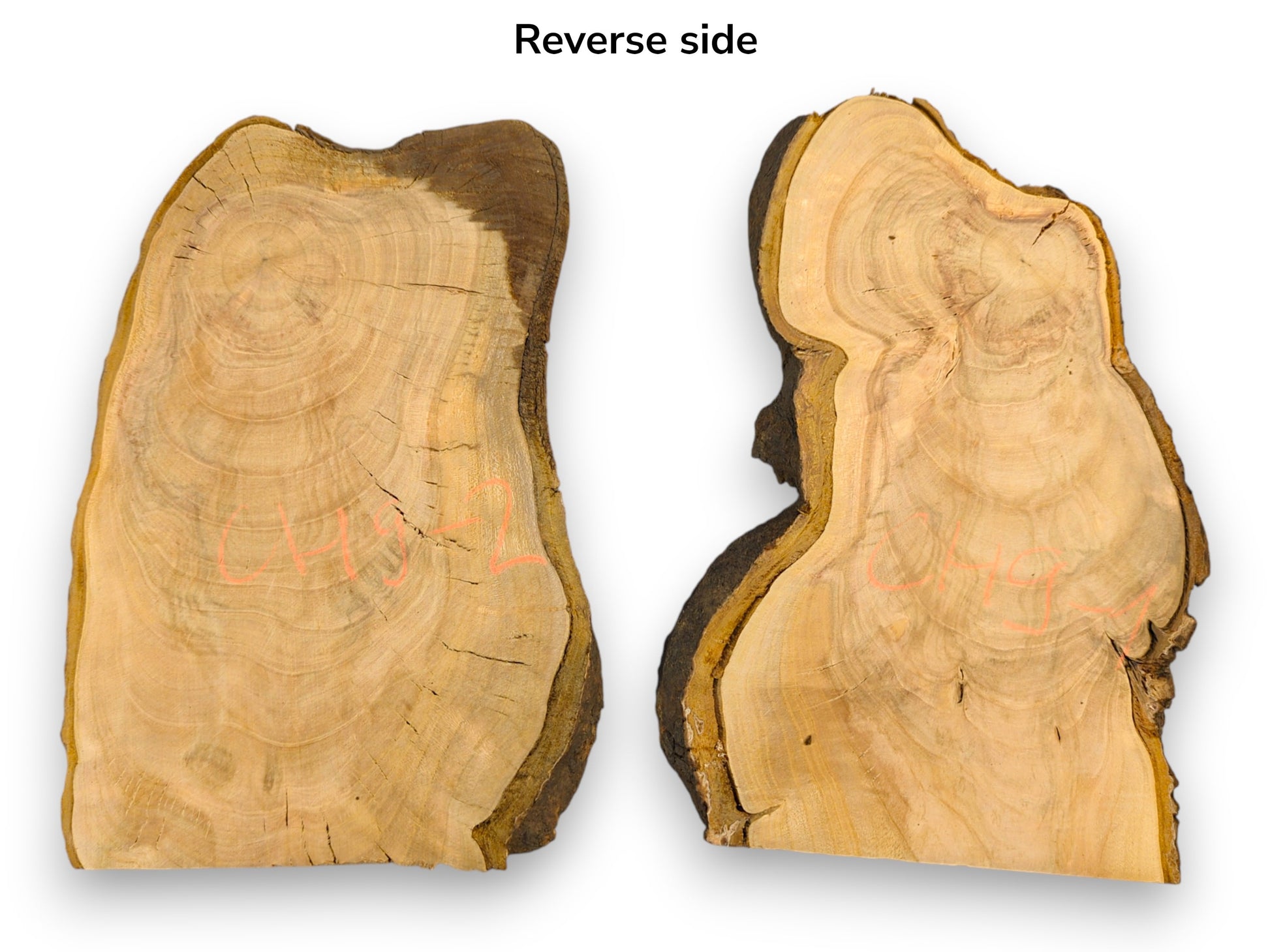 Reverse side of two bookmatched wild cherry slices, irregular live edges, bark, and visible annual rings.