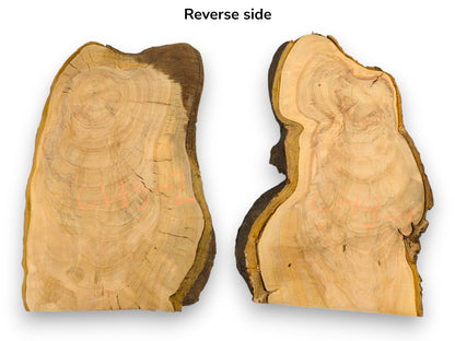 Reverse side of two bookmatched wild cherry slices, irregular live edges, bark, and visible annual rings.