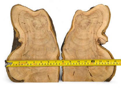 Two bookmatched wild cherry wood slices, light brown with dark bark live edges, visible rings, measured.
