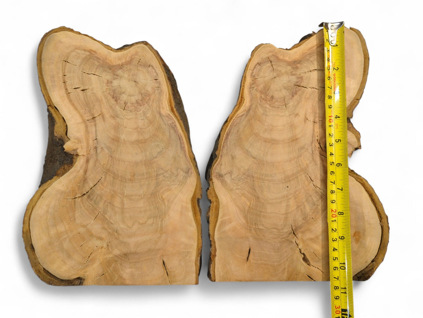 Bookmatched light brown wild cherry wood slices, dark live edges, visible annual rings, surface cracks, yellow measuring tape.