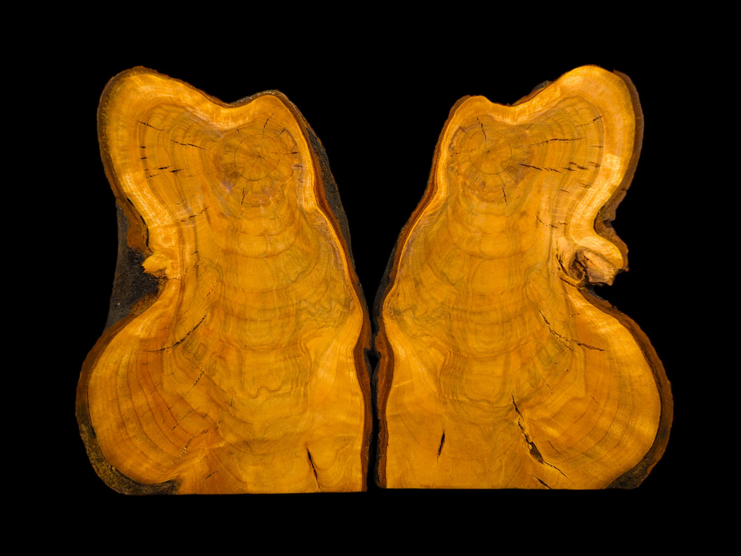 Two bookmatched wild cherry wood slices, displaying irregular live edges and golden-orange grain patterns.