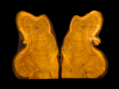 Two bookmatched wild cherry wood slices, displaying irregular live edges and golden-orange grain patterns.