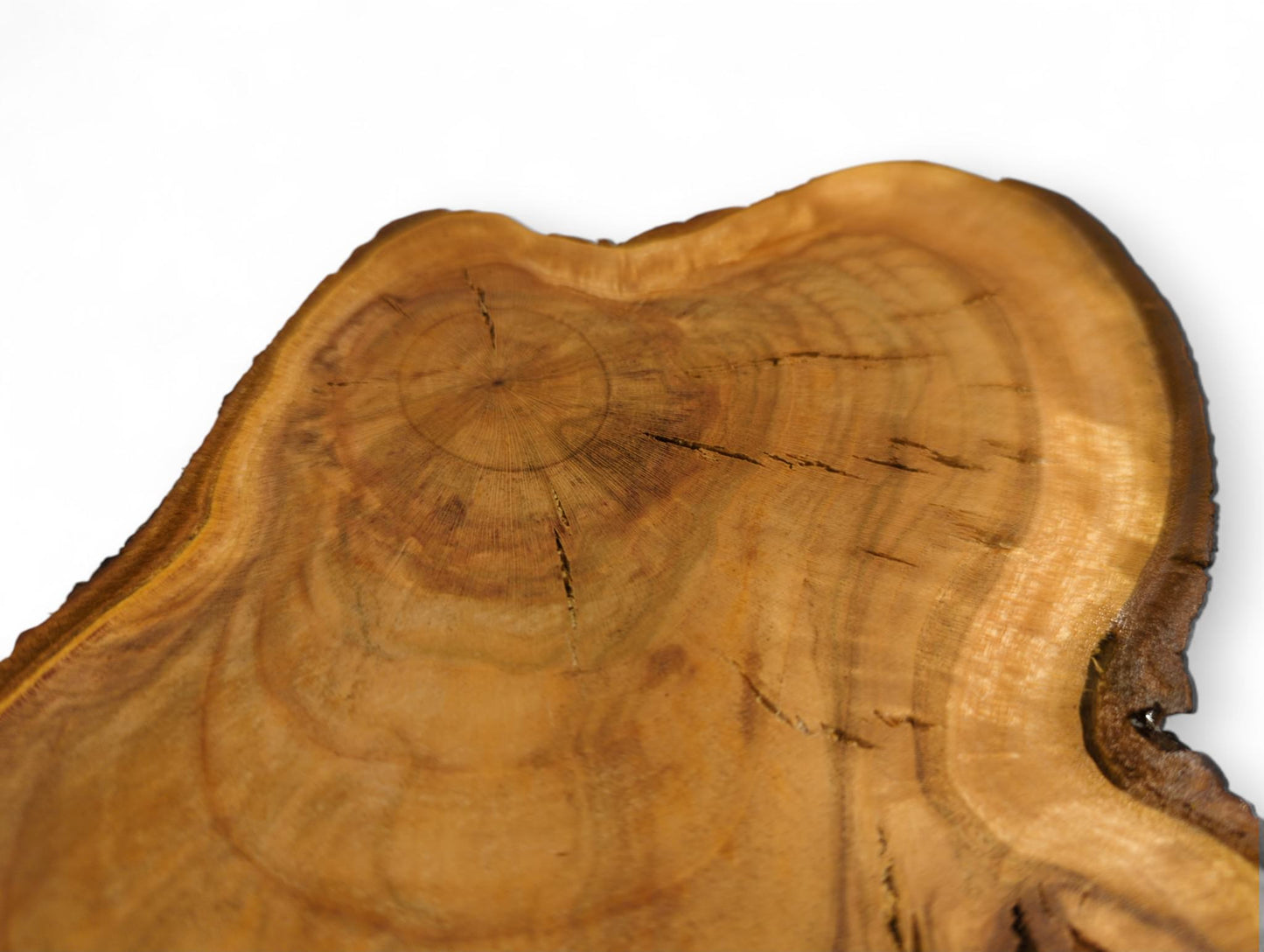 Single wild cherry wood slice, light brown, featuring an irregular live edge, annual rings, and surface cracks.
