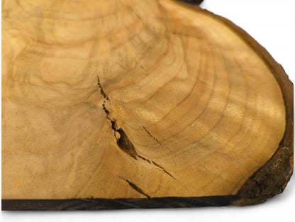 Wild cherry wood slice, golden-brown, irregular live edge, visible annual rings, and deep surface cracks.