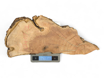 Rough-edged, irregular wood slice with grain, cracks, and red numbers on a digital scale, displaying 2868.