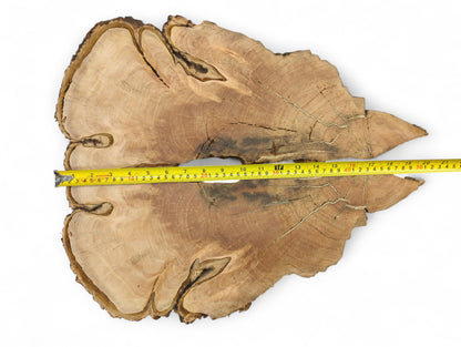 Bookmatched light brown wood slices show visible grain, prominent dark cracks, and a yellow tape measure.