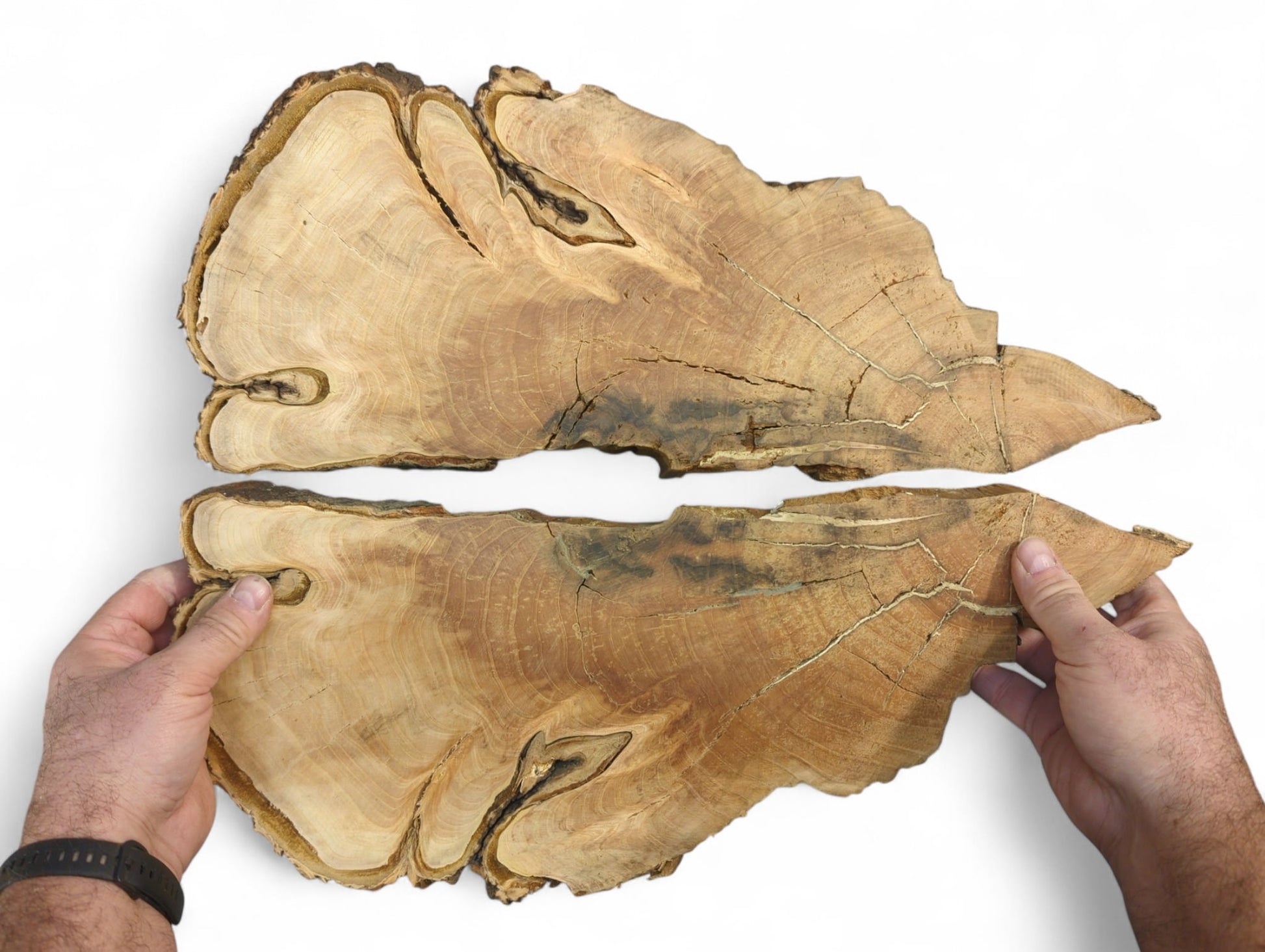 Hands present two irregular bookmatched wild cherry wood slices, showing grain, live edges, and light cracks.