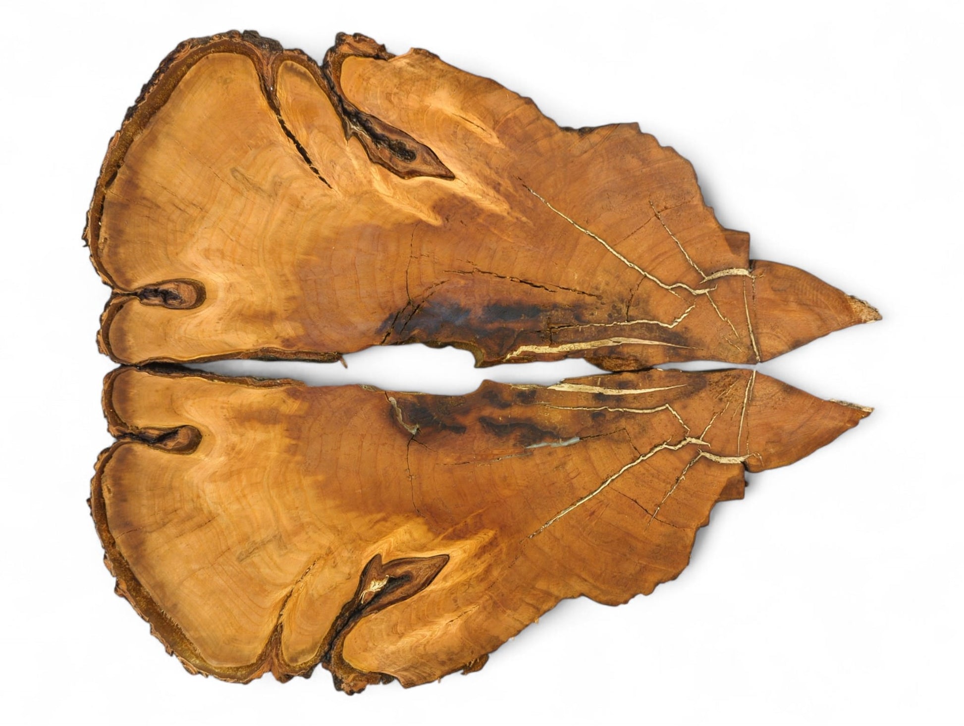 Two irregular bookmatched brown wood slices with live edges, visible grain, and light-filled cracks.
