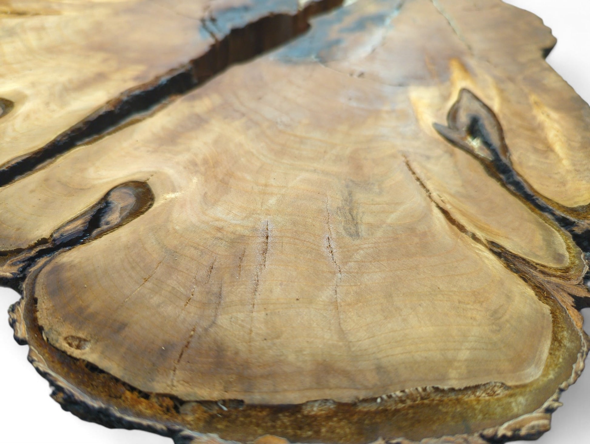 Single irregular wood slice with light brown-yellowish heartwood, prominent dark cracks, natural grain, and rugged live edges.