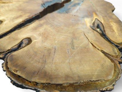 Single irregular wood slice with light brown-yellowish heartwood, prominent dark cracks, natural grain, and rugged live edges.