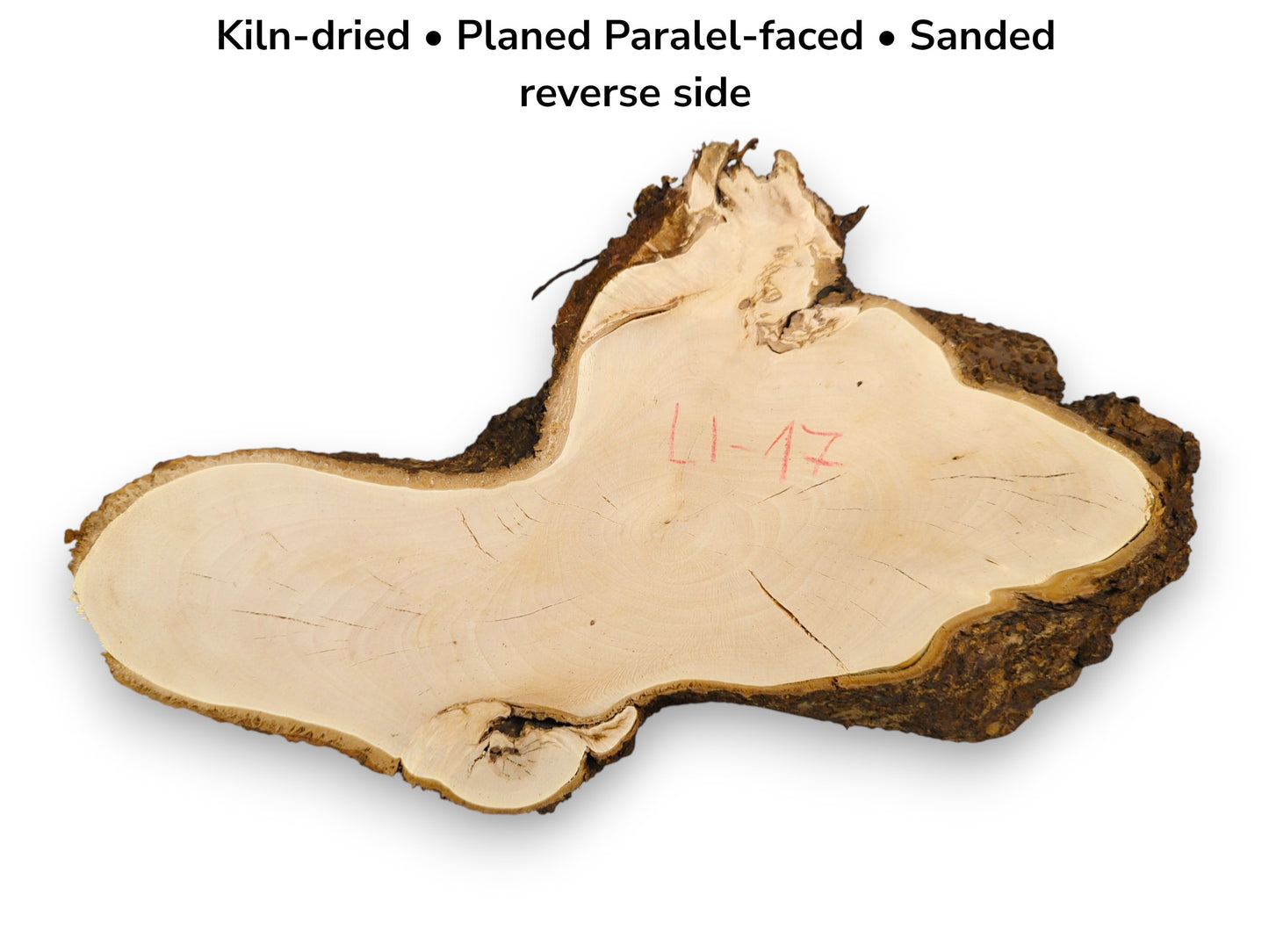 Light linden wood slice, irregular shape, dark bark edge, with red 'L1-17' and attribute text overlay.