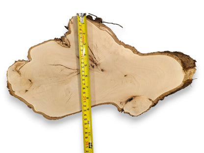 Irregular linden wood slab with light, planed surface and dark bark edge, measured at 18 inches.