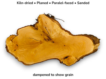 A dampened timber cross-section shows central cracks, swirling golden grain, and a gnarled live edge.