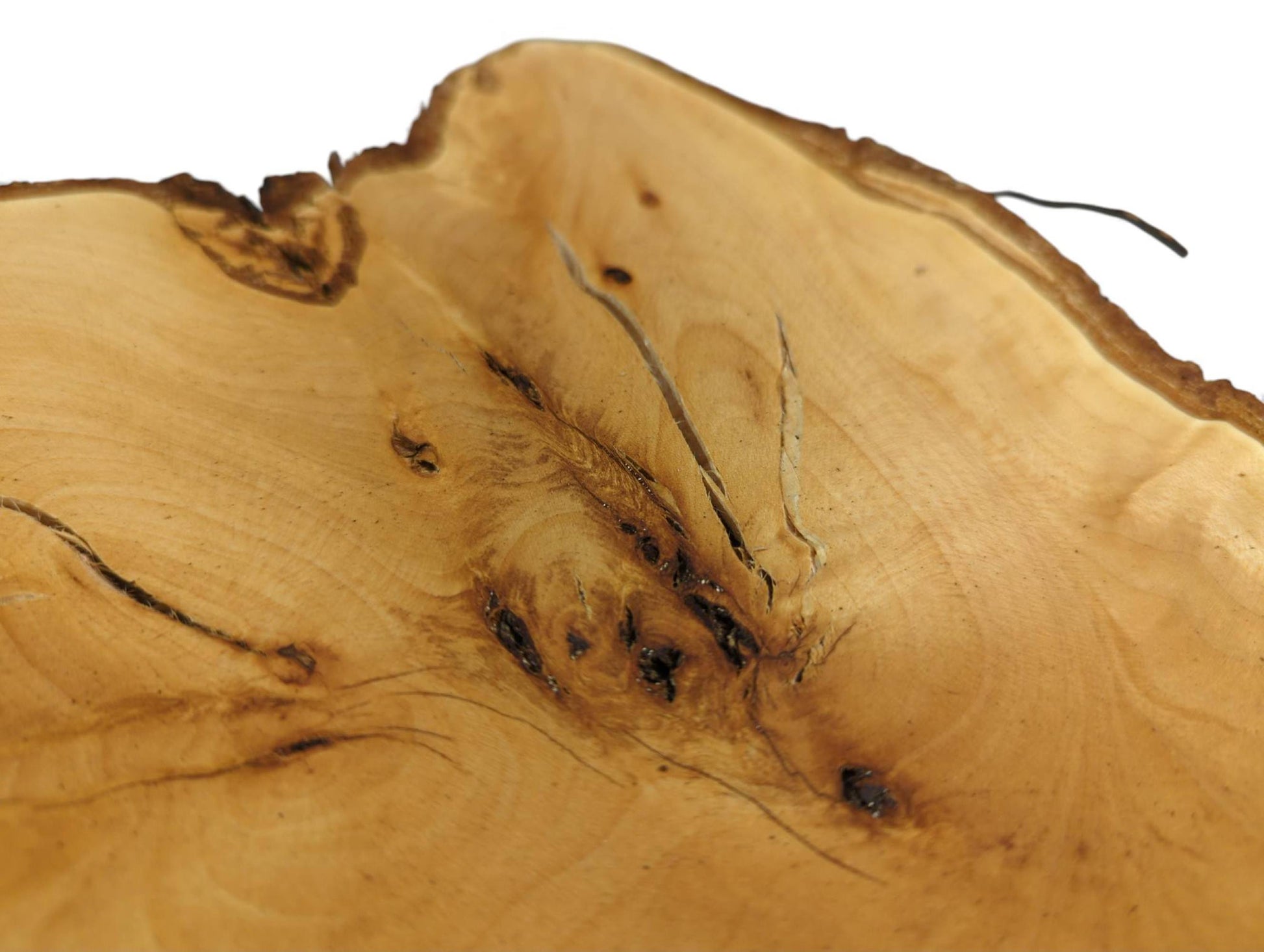 Untreated linden wood slice featuring light color, prominent knots, natural cracks, and a dark bark edge.