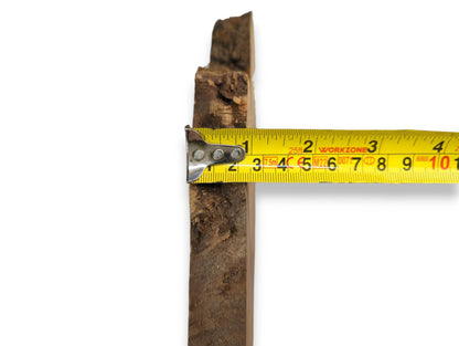Yellow measuring tape shows a rough, dark brown live edge wood slab about 3.5 inches wide.