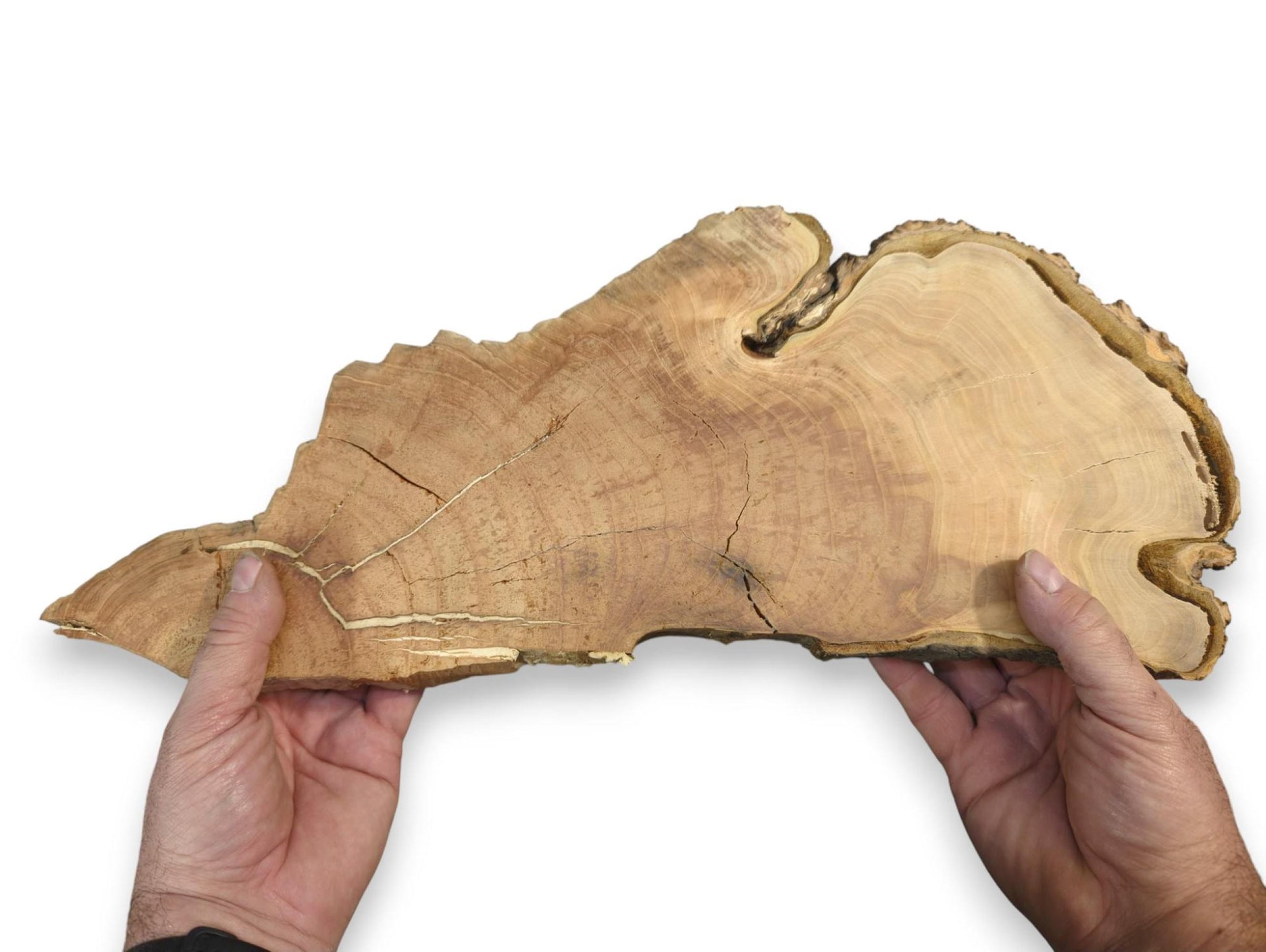 Two hands hold a light brown, irregular wild cherry wood slab with live edges and visible cracks.
