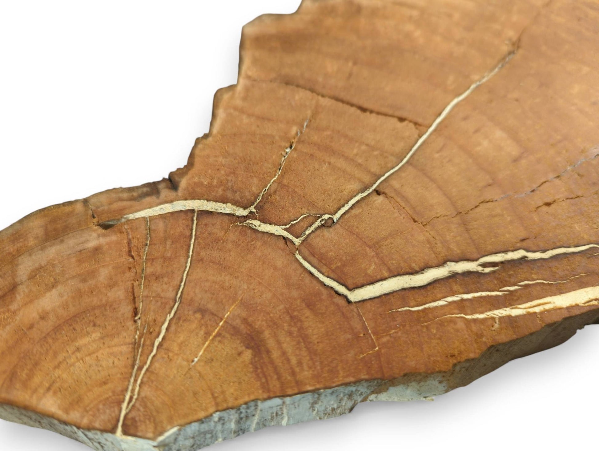 Irregularly shaped wild cherry wood slice showing distinct grain and multiple prominent cracks filled with light yellow material.