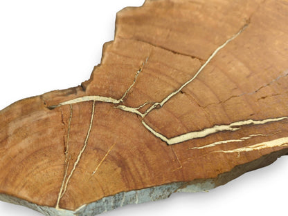 Irregularly shaped wild cherry wood slice showing distinct grain and multiple prominent cracks filled with light yellow material.