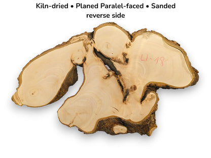 Light-colored, irregular linden wood slice slab with visible grain, textured bark, and descriptive preparation text.