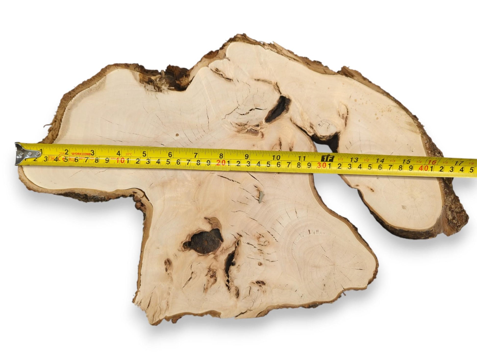 Yellow measuring tape measures an irregular, pale linden wood slice, showing a smooth surface, grain, and bark.