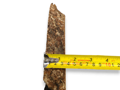 A yellow measuring tape is placed across an irregular linden wood slice with dark, textured bark.