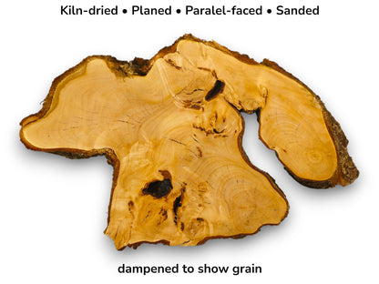Irregular golden linden wood slab with dark bark edges and text indicating preparation and dampened state.