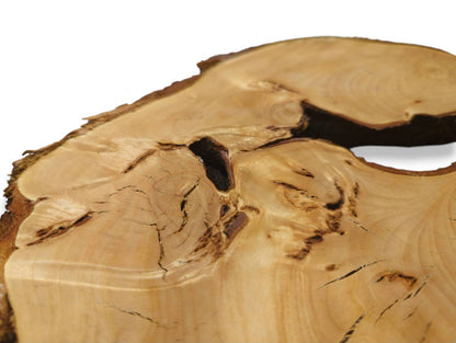 Irregular linden wood slice exhibiting light color, distinct grain, natural cracks, dark knots, and bark.