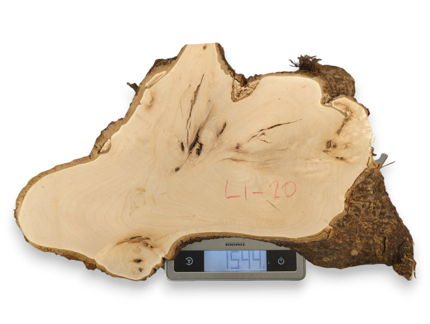 Irregular linden wood, pale, dark live edge bark, marked "L1-20", on a scale with 1544.