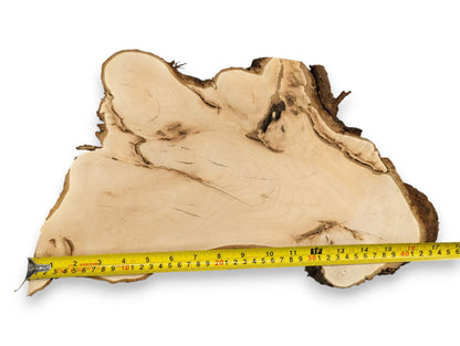 A yellow measuring tape lies across a light, irregularly shaped linden wood slab with dark bark.