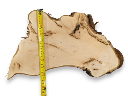 Light, irregular linden wood slab with natural grain, dark live edge bark, and yellow measuring tape.