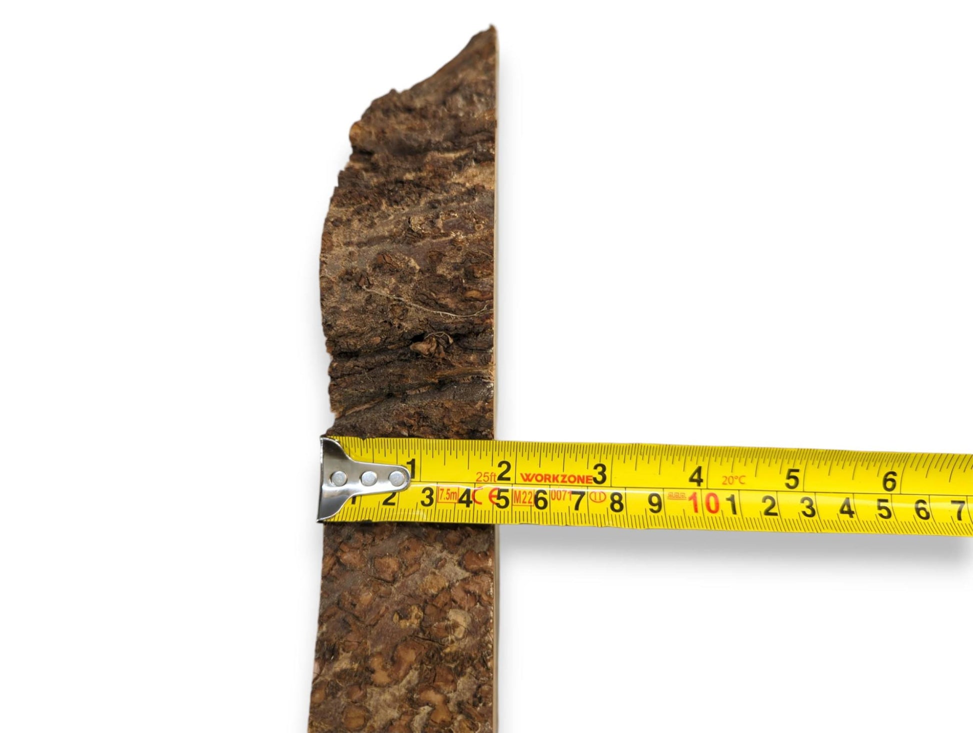 Textured dark brown linden wood bark edge shown with a yellow measuring tape for scale.