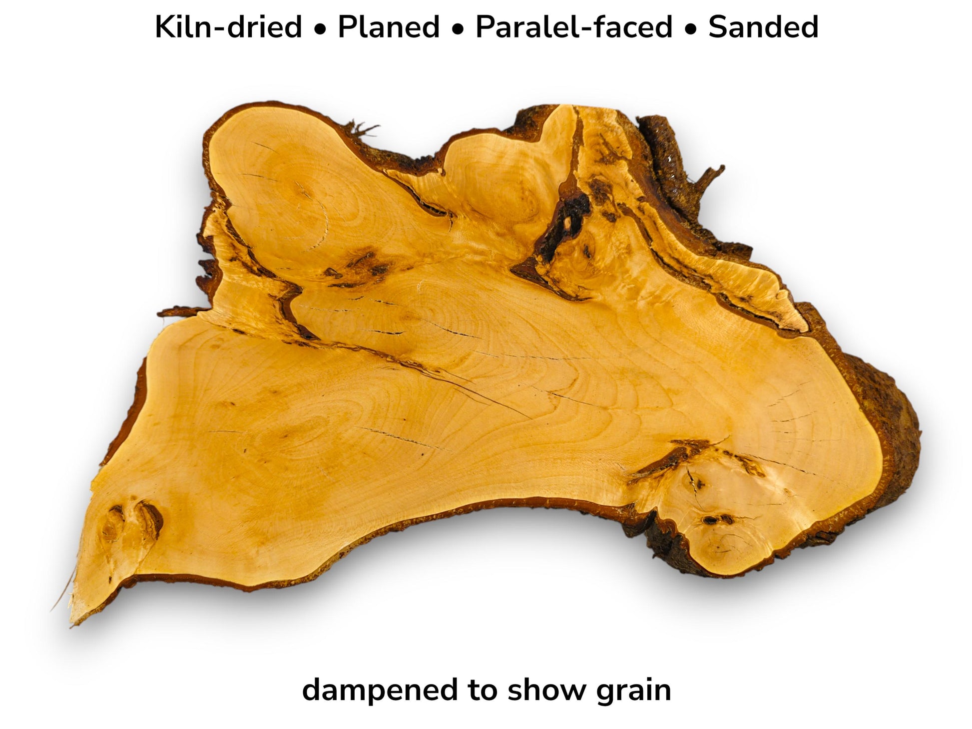 Irregular golden linden wood slice showing dark bark edges with text detailing preparation and dampened grain.