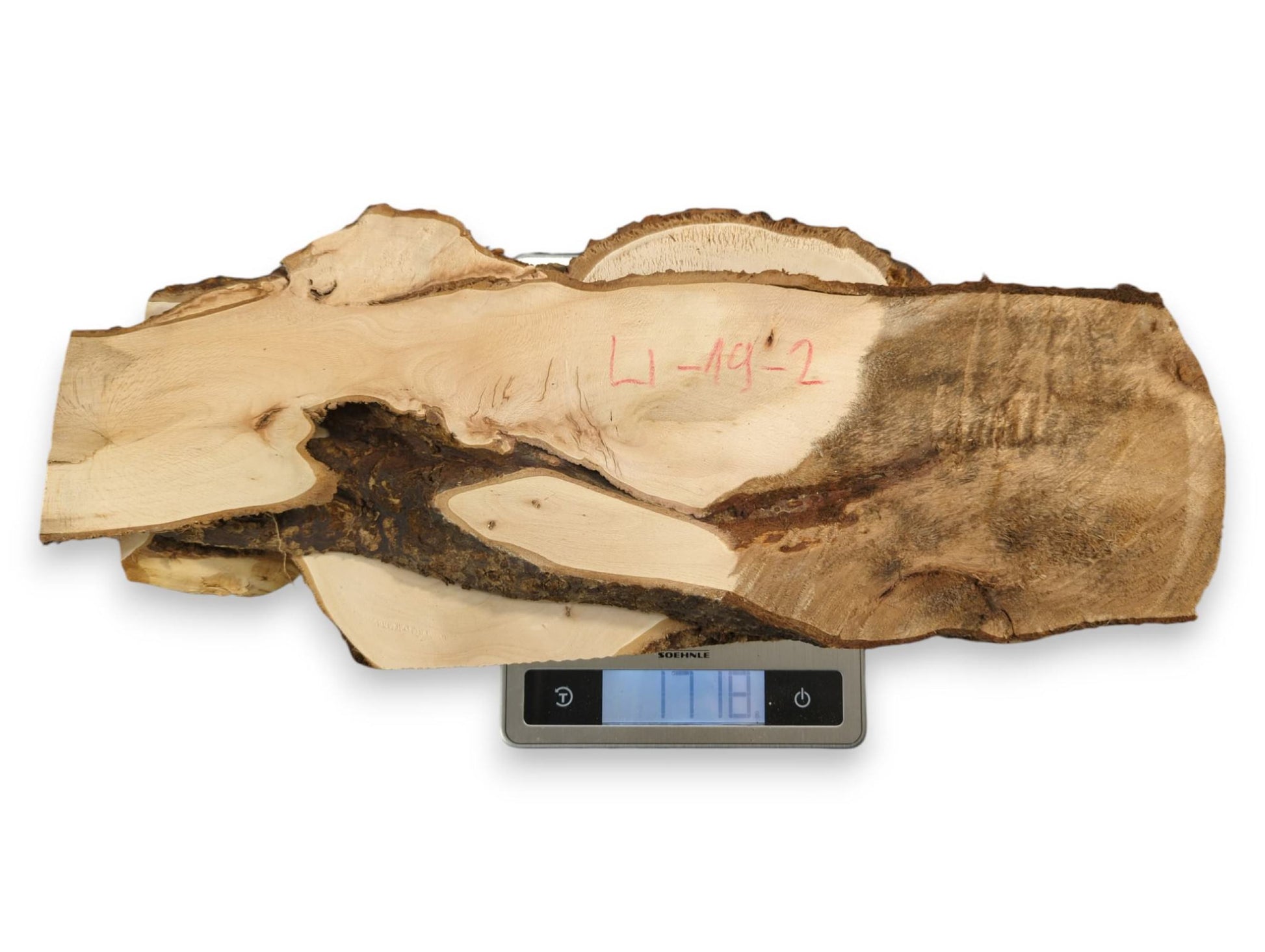 Light-colored linden wood slab with dark live edges and a natural cavity, on a scale displaying 1118.