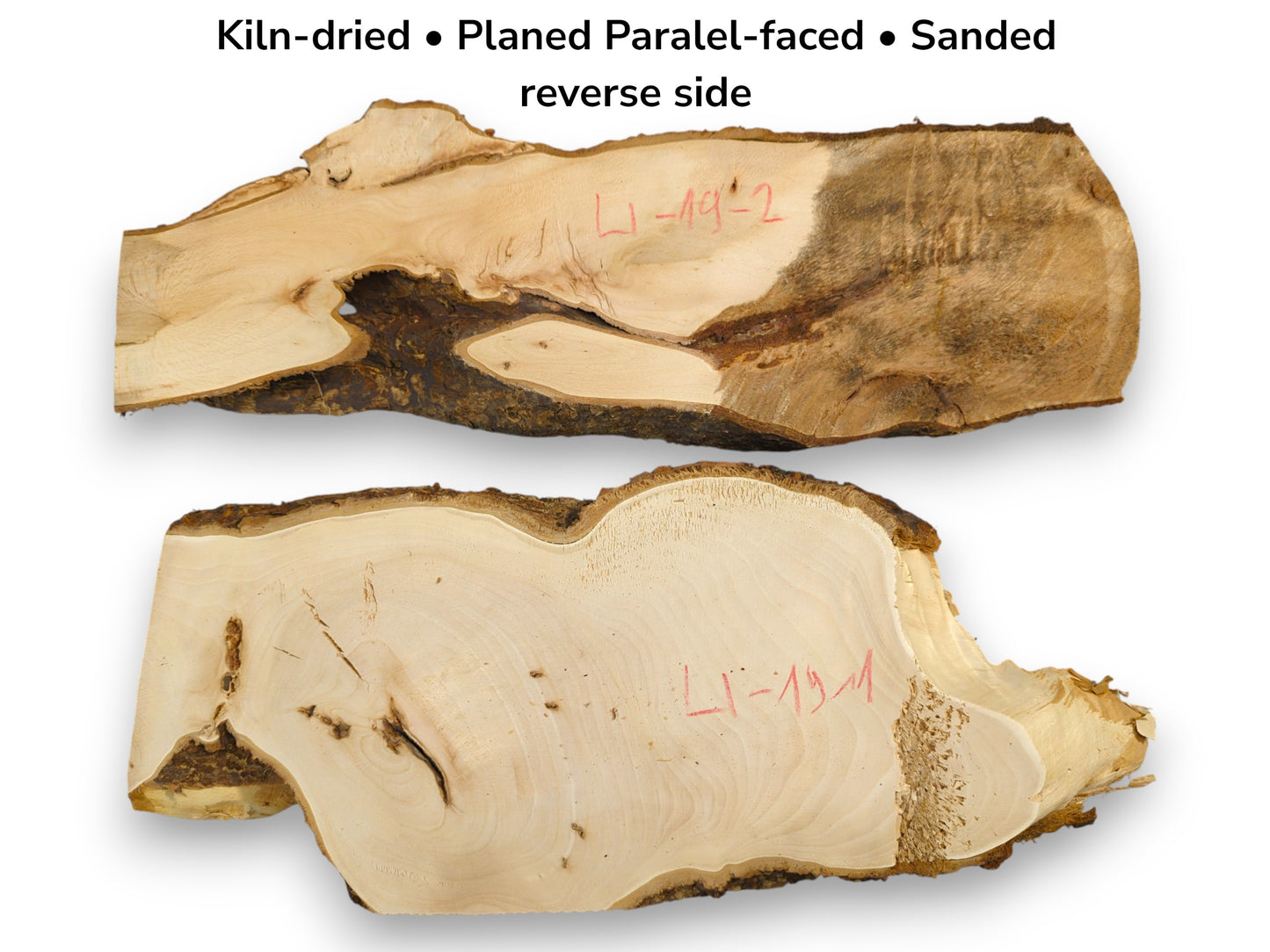 A graphic displays two kiln-dried, planed linden wood slices, one sanded, one showing its rough reverse.