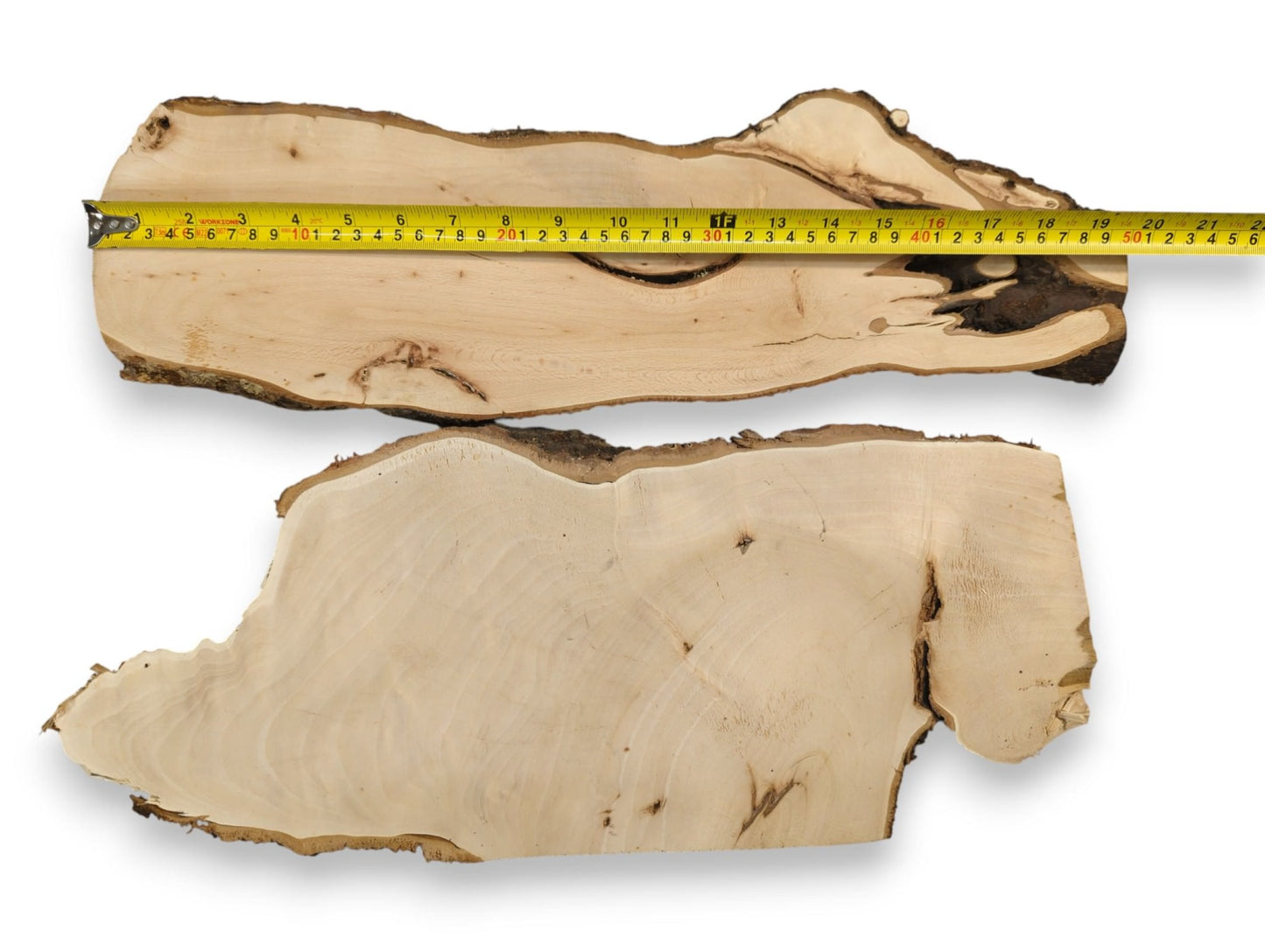 Two planed linden root wood slices, light-colored, with natural live edges. A yellow measuring tape shows length.