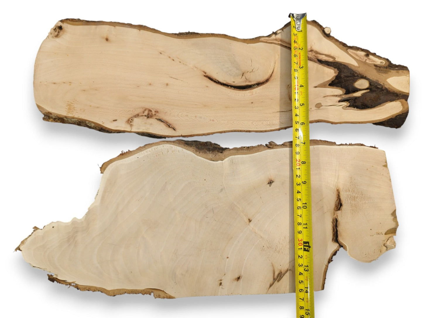 Planed linden wood slices, light-colored, display natural grain and textured dark bark edges. Yellow measuring tape included.