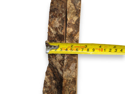 Yellow measuring tape spans two irregular linden wood slices showing dark, textured live edges.