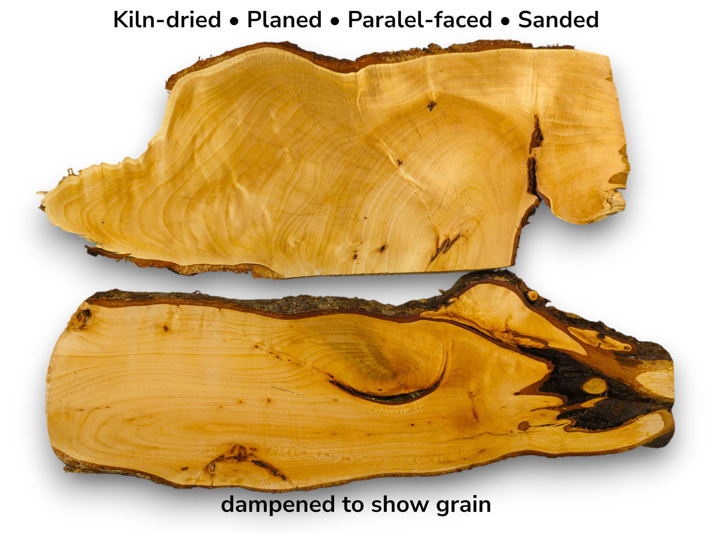 Two linden wood slabs, one dry and one dampened to reveal its dark, swirling knots.