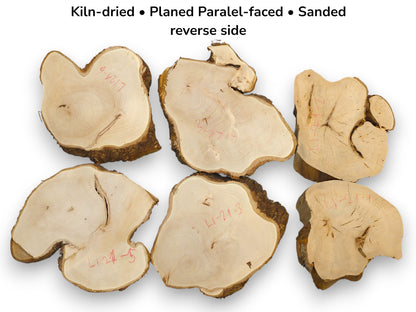 Irregular, pale linden wood slices showing reverse sides with bark edges, red markings, and descriptive text.